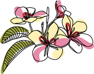 Hawaiian tropical exotic one line hand drawn flower plant. Frangipani  flower continuous art