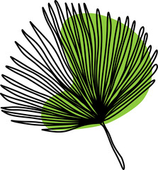 Obraz premium One line continuous modern tropical hawaiian leaf with green spot. Floral isolated element