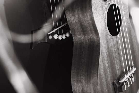 guitar and ukulele sale, black and white photo