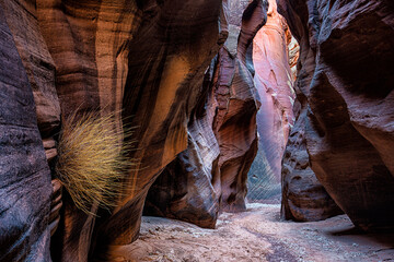 Buckskin Gulch Canyon, American Southwest