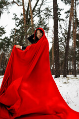 Little Red Riding Hood is going away on a snowy road. Dramatic and fantastic shooting.