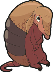 Armadillo ilustrado, armadillo maltrato animal.