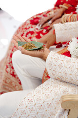 Indian bride and groom in a temple during a wedding ceremony, holding together a green leaf
