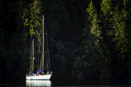 Sailboat In The Great Bear Rainforest At Sunrise; Hartley Bay, British Columbia, Canada