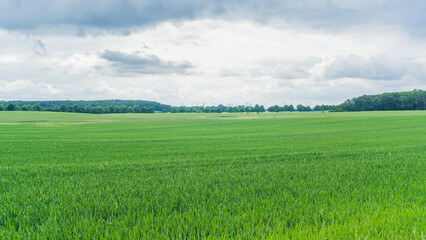 grüne Felder bei Benzin in Mecklenburg mit Wäldern und Windmühlen im Hintergrund