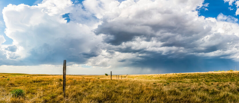 Vast fields of farmland on the prairies under a big sky with clouds and a storm in the distance; Val Marie, Saskatchewan, Canada