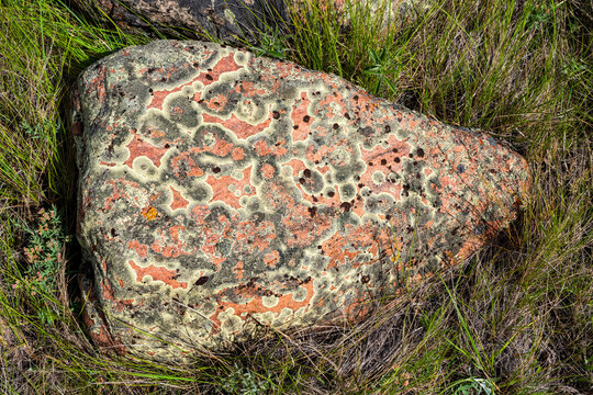 Rock with beautiful patterns of lichen, Grasslands National Park; Val Marie, Saskatchewan, Canada