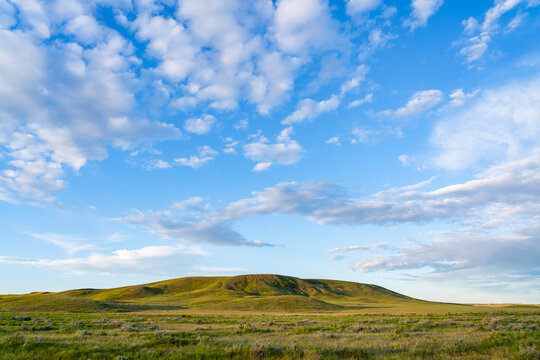 Lush green grass on field and hill, Grasslands National Park; Val Marie, Saskatchewan, Canada