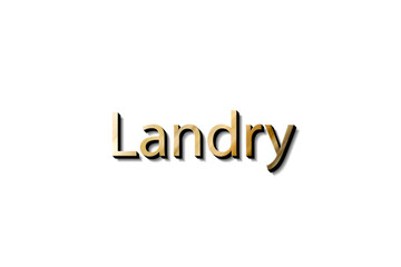 LANDRY NAME 3D 
