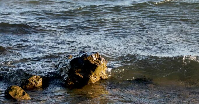 A lonely rock getting pummeled by big waves on the shore of the Danube river on a particularly windy day