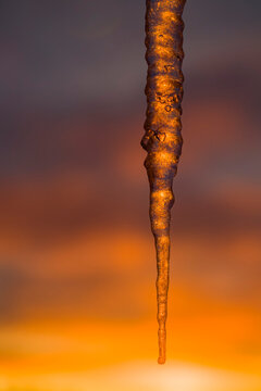 Sunrise lights up the sky and refracting through an icicle; Churchill, Manitoba, Canada