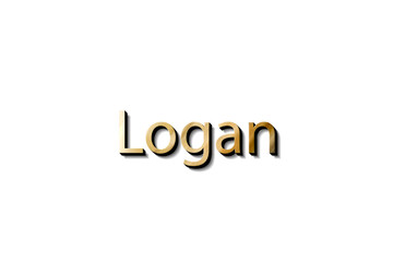 LOGAN NAME 3D