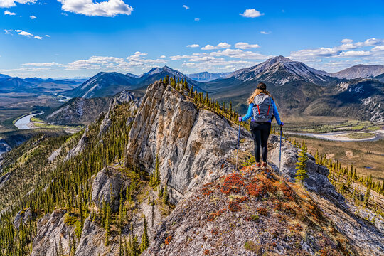 Woman hiking along the Dempster Highway enjoying the scenery on top of Sapper Hill; Yukon, Canada