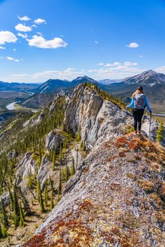 Woman hiking along the Dempster Highway enjoying the scenery on top of Sapper Hill; Yukon, Canada