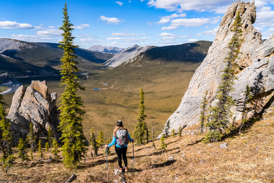 Woman hiking along the Dempster Highway enjoying the scenery on top of Sapper Hill; Yukon, Canada