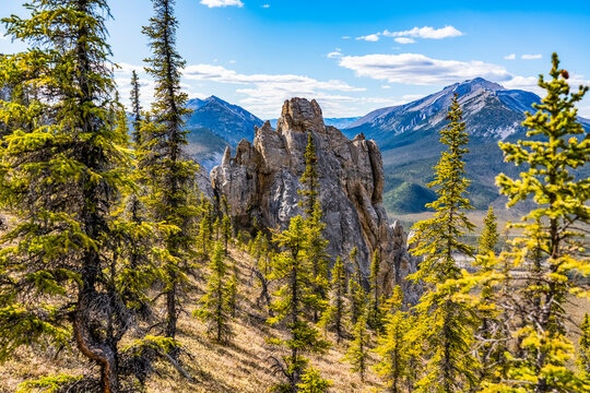 Rugged landscape with trees on Sapper Hill along Dempster Highway; Yukon, Canada