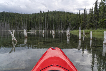 Close-up of the bow of a kayak navigating through wooden posts on a calm lake on an overcast day in the North Country; Whitehorse, Yukon, Canada