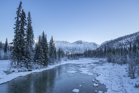 Morning light casting a blue hue over the tree-lined river flowing through the snowy landscape with mountaintops in the distance; Whitehorse, Yukon, Canada