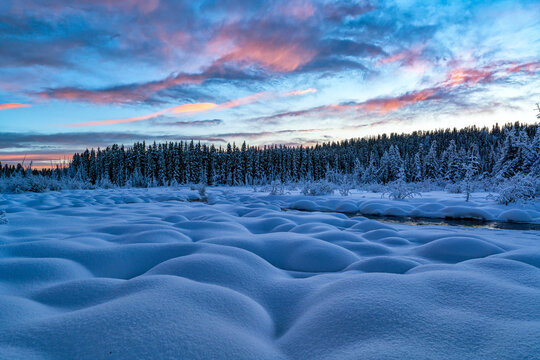 Snowy mounds and conifer forest with sunset illuminating the sky over McIntyre Creek in winter; White Horse, Yukon, Canada