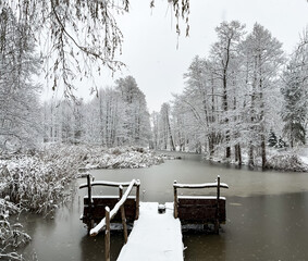 staw zimą © Dominik