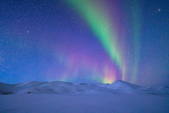 Brilliant aurora borealis or northern lights over the Dempster Highway; Whitehorse, Yukon, Canada
