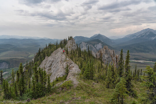 Woman with a walking stick descending the ridges of Sapper Hill along the Dempster Highway, looking out at the mountain views; Yukon, Canada