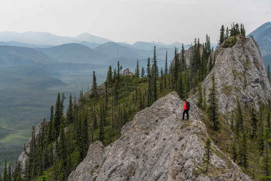 Woman with a walking stick standing on the ridges of Sapper Hill along the Dempster Highway, looking out at the mountain views; Yukon, Canada