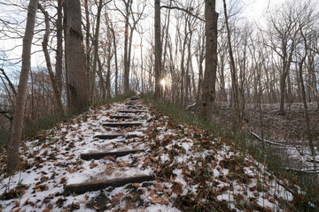 Trail leading through the forest at Longwoods Road Conservation Area, near London, Ontario, Canada; Mount Brydges, Ontario, Canada