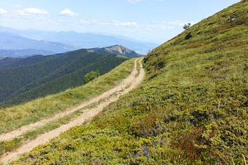 Summer landscape of Belasitsa Mountain, Bulgaria