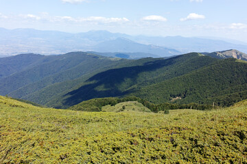 Obraz premium Summer landscape of Belasitsa Mountain, Bulgaria