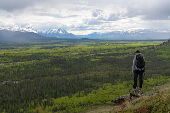 Woman standing overlooking the Ibex Valley just outside Whitehorse, Yukon. Summer has settled in as the landscape is a lush green; Whitehorse, Yukon, Canada