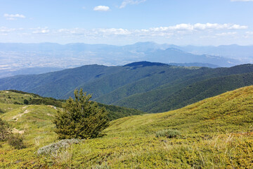 Fototapeta premium Summer landscape of Belasitsa Mountain, Bulgaria