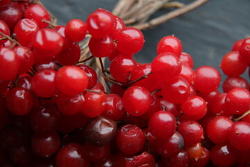 Juicy ripe viburnum on vintage table.