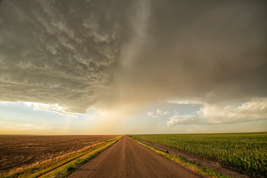 Storm clouds gather over a country road and farmland with dirt road leading into the distance; North Dakota, United States of America