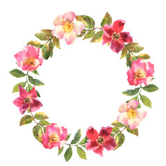 Watercolor rose hip wreath. Flowers, leaves and fruits of wild roses. Watercolor illustration isolated on white background.