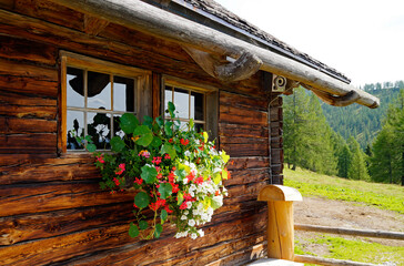 alpine cabin with geraniums in the alpine village Neustatt Alm or Neustattalm by the foot of...