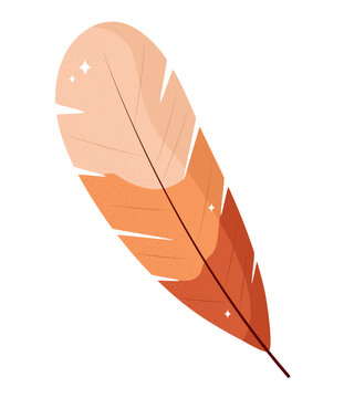 orange feather design
