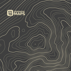 Black on gray contours vector topography stylized height of the lines. The concept of a conditional geography scheme and the terrain path. 1x1 Size. Map on land vector terrain Illustration.