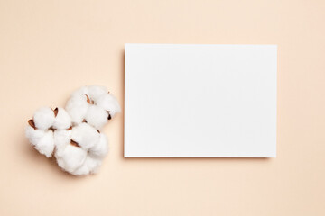 Holiday greeting card mockup with dried cotton flowers on beige background, top view, flat lay
