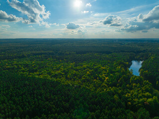 A view from the air on huge areas of the forest. Forest landscape concept, big forest. Environmental protection, care for nature.