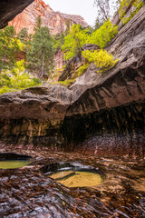 Magnificent Subway gorge landmark in the Zion National Park in Utah