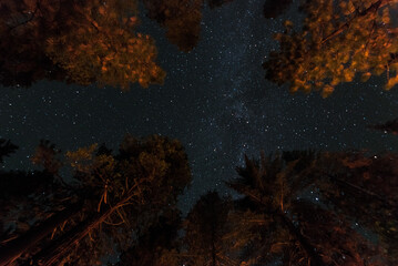 Fototapeta na wymiar Scenic night sky over a campground in the Yosemite National Park