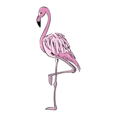 Vector illustration of a pink flamingo. hand drawing