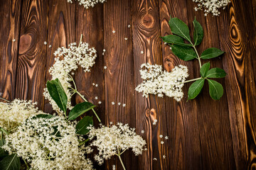 Freshly picked elderberry flowers on a wooden table. Ingredients for a refreshing drink or lemonade...