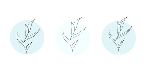 Minimalism stylish outline leaves flowers, trees, branches. Modern design. Perfect for tatoo, postcard, invitation, everything. Vector illustration. 