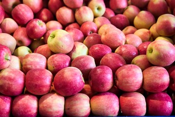 Red organic apples in large quantities. High quality photo