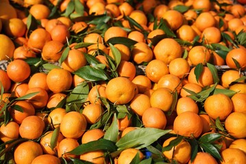 Oranges, mandarins background and texture. High quality photo