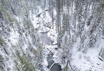 Aerial drone of river and forest in winter snow