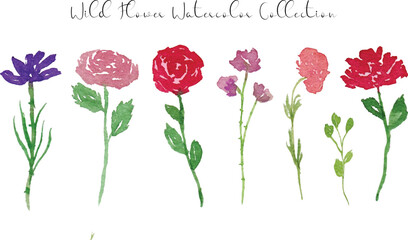 a set of pink wild flowers and leaves watercolor element