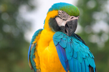 Fototapete bei efototapeten.de bestellen   